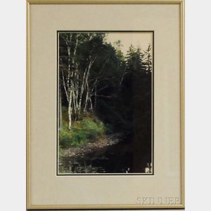 Attributed to Eliot Porter (American, 1901-1990) Birches by the Shore, Possibly Great Spruce Head Island, Maine.