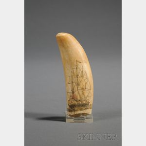 Small Engraved Whale's Tooth