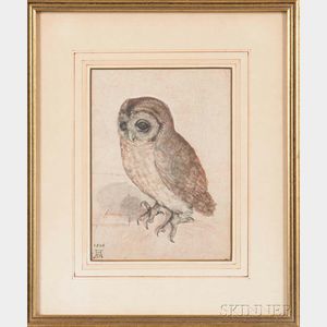After Albrecht Durer (German, 1471-1528) Photographic Reproduction of The Little Owl