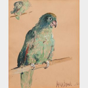 Matilda Browne (American, 1869-1947) Parrot on a Perch