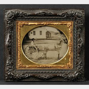 Sixth Plate Pictorial Ambrotype of a Horse and Buggy with Driver, Before a House