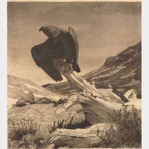 Hans Frank (Austrian, 1884-1948) Perching Eagle