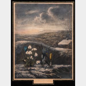 Robert John Thornton, publisher (British, c. 1768-1837) The Snowdrop