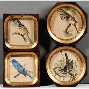 Robert Ridgway (American, 1850-1929) Four Framed Bird Prints: Sea-side Finch , Indigo Bunting , White-Throated Sparrow
