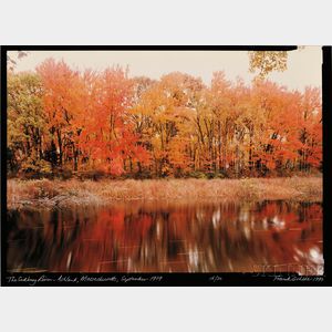 Frank Gohlke (American, b. 1942) The Sudbury River, Ashland, Massachusetts, September 1989