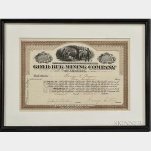 Framed Gold Bug Mining Company 500 Share Stock Certificate