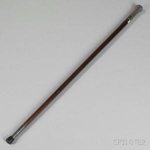 Silver and Rosewood Cane