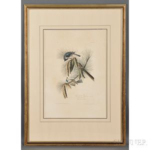 Audubon, John James (1785-1851) Crested Titmouse, Plate 39.