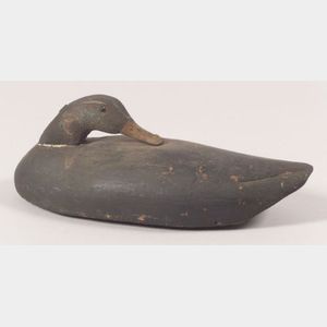 Carved and Painted Preening Black Duck Decoy