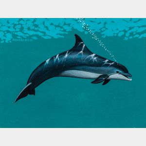 Richard Ellis (American, b. 1938) Bottle-nosed Dolphin