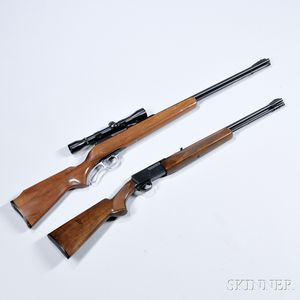 Two .22 Caliber Rifles
