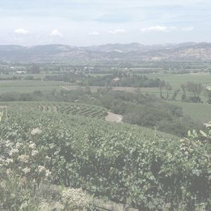 Rivers-Marie Chardonnay B. Thieriot Vineyard
