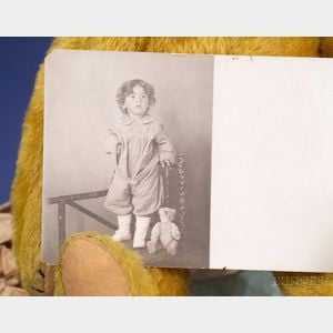 Steiff Golden Mohair Bear in Rare Original Box