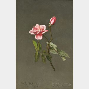 Martin Johnson Heade (American, 1819-1904) Pink Rose