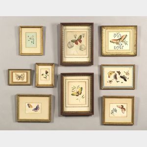 Nine Framed Butterfly Subject Watercolor Paintings
