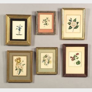 Seven Framed 19th Century Floral Watercolors