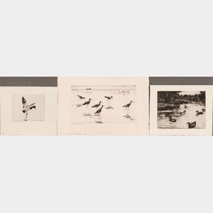 Frank Weston Benson (American, 1862-1951) Three Waterfowl Prints: Redhead Alighting