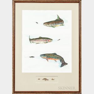 Group of Five Colored Etchings of Fish
