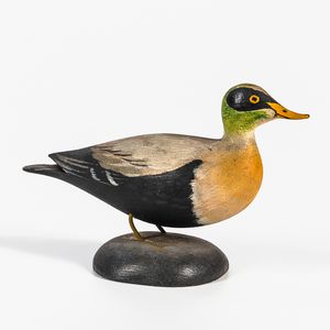 Carved and Painted Miniature Male Common Eider
