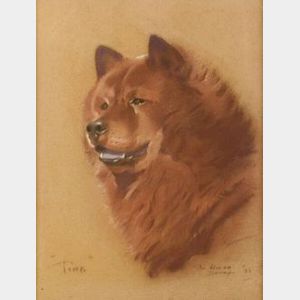 American School, 20th Century Ting , Portrait of a Chow