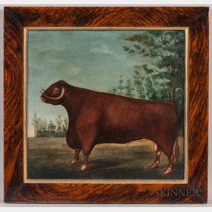 American School, 19th Century Portrait of a Bull