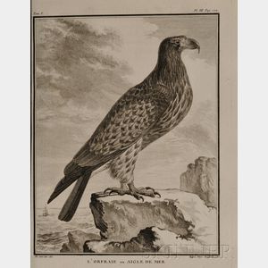 (Ornithological, Natural History),Buffon, Comte Georges L. M. Leclerc, (1707-1788)