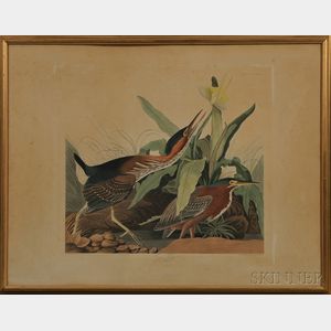 Audubon, John James (1785-1851) Green Heron , Plate CCCXXXIII.