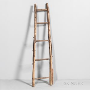 Primitive Make-do Wooden Ladder