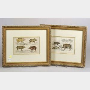 Pair of Framed English Bookplates of Wild Pigs