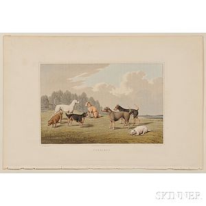 Alken, Henry (1785-1851) Four Plates of Dog Breeds from his Sporting Scrap Book.