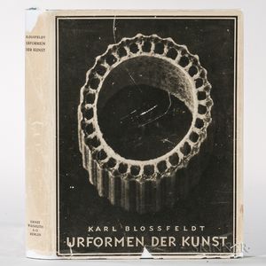 Blossfeldt, Karl (1865-1932) Urformen der Kunst.