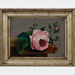 American School, 19th Century Still Life Painting of a Pink Rose