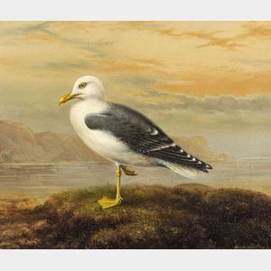 John Duncan (British, 1866-1945) Seagull