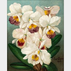 Charles Storer (American, 1817-1907) Orchids from Nature