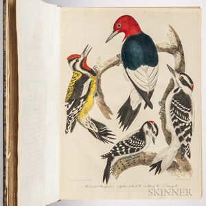 Wilson, Alexander (1766-1813) American Ornithology; or, the Natural History of the Birds of the United States: Illustrated with Plates.