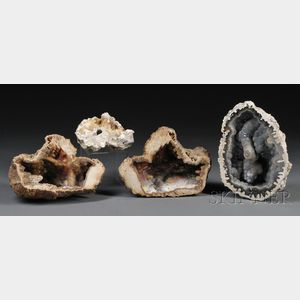 Four Agatized Fossil Coral
