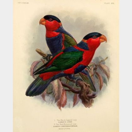 R.H. Porter (Anglo/American, 19th Century) Lot of Two Ornithological Prints: Lories.