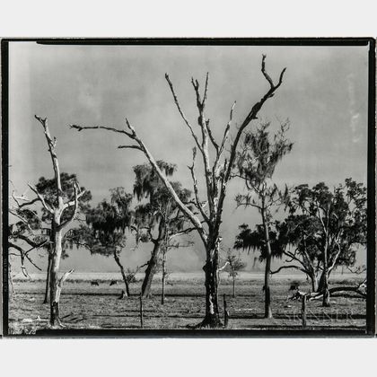 Walker Evans (American, 1903-1975) Landscape, Gulf Coast, Louisiana