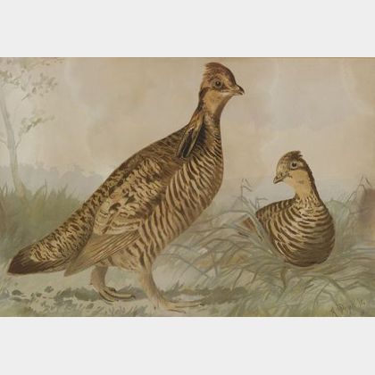 Alexander Pope Jr. (American, 1849-1924) Lot of Three Bird Prints Including: Canvas-Back Duck