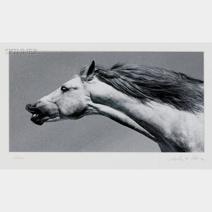 Robert Vavra (American, b. 1935) Horse Head