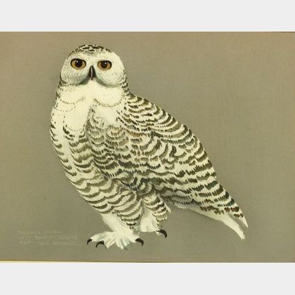 James Houston (Canadian, b. 1921) Snowy Owl