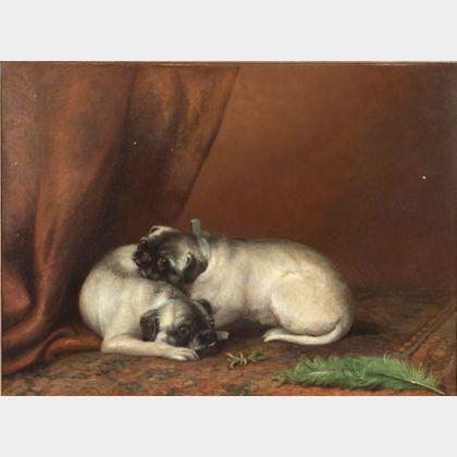 British School, 19th Century Two Resting Pug Pups