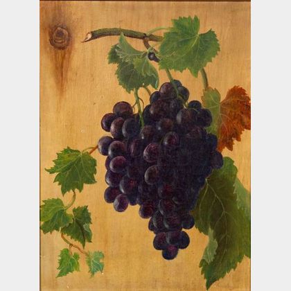 American School, 19th Century Still Life with Grapes