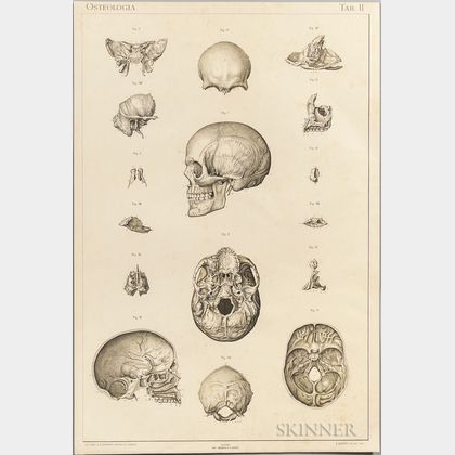Laskowski, Sigismond (1841-1928) Anatomie Normale du Corps Humain, Atlas Iconographique.