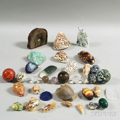 Group of Shells and Mineral Specimens