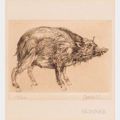 Thomas Cornell (American, 1937-2012) Wild Pig