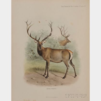 Lydekker, Richard (1849-1915) The Deer of All Lands