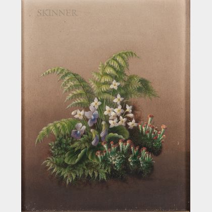 American School, 19th Century Spring Woodland Flowers and Ferns