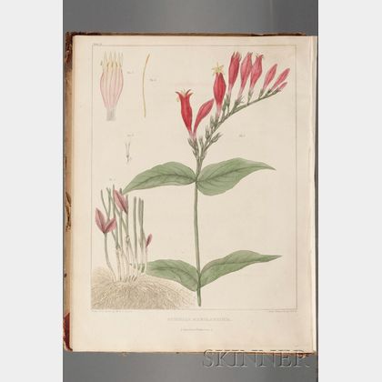 (Botanical Illustration, Medicine),Barton, William P.C., Presentation Copy