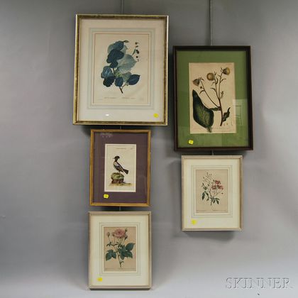 Five Framed Botanical and Ornithological Prints